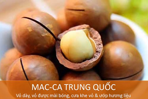 Nói không với hàng trung quốc