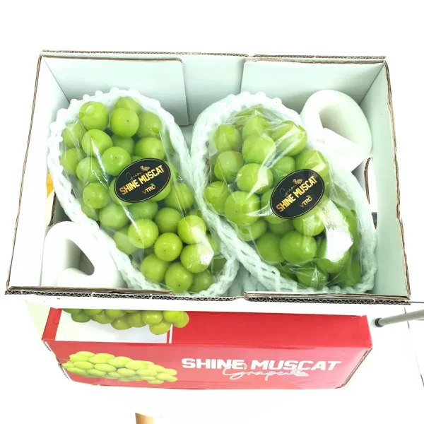 Thùng nho sữa 2 chùm TNS2 - Hình ảnh 2