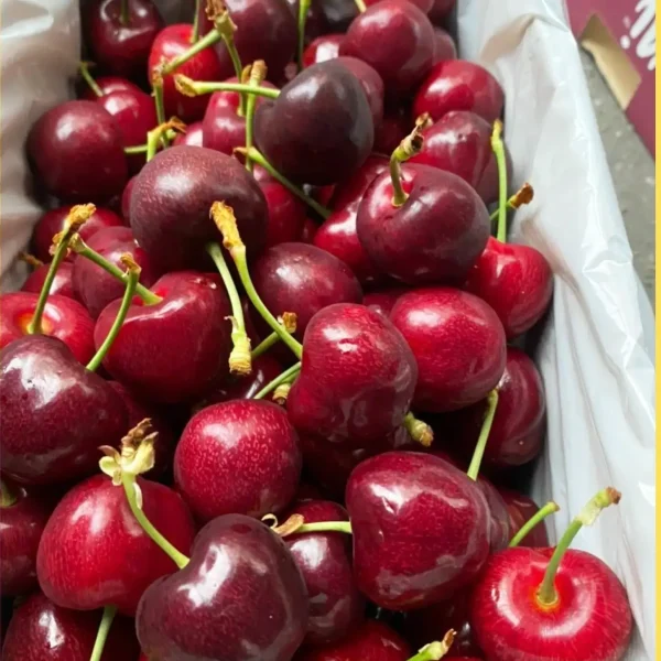 Cherry New Zealand thùng 2kg